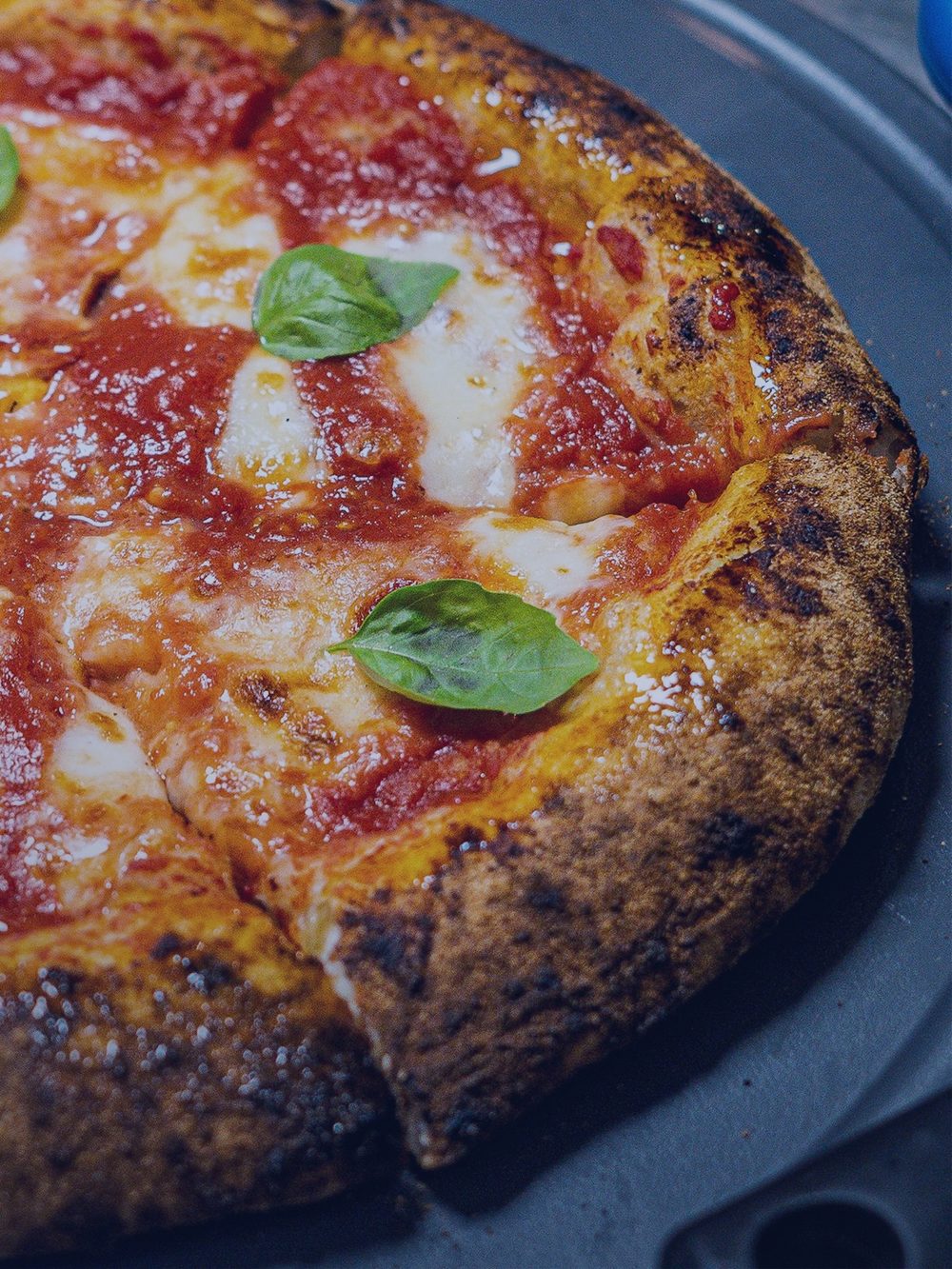 Margherita saindo do forno de pedra, com manjericão fresco